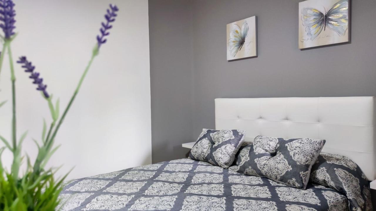 Os Reloxos II Leilighet Mondariz-Balneario Eksteriør bilde
